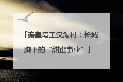 秦皇岛王汉沟村：长城脚下的“甜蜜事业”