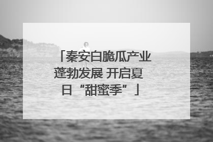 秦安白脆瓜产业蓬勃发展 开启夏日“甜蜜季”