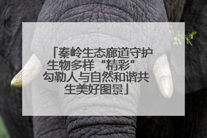 秦岭生态廊道守护生物多样“精彩” 勾勒人与自然和谐共生美好图景