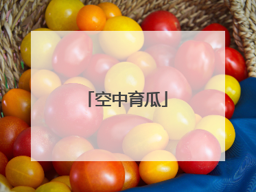 空中育瓜