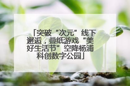突破“次元”线下邂逅，叠纸游戏“美好生活节”空降杨浦科创数字公园