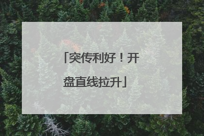 突传利好！开盘直线拉升