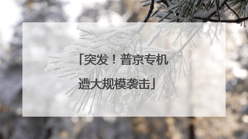 突发！普京专机遭大规模袭击