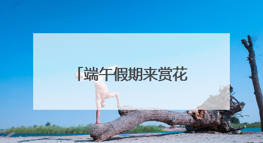 端午假期来赏花！上海滨江森林公园绣球花展5月31日开幕