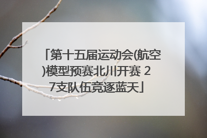 第十五届运动会(航空)模型预赛北川开赛 27支队伍竞逐蓝天