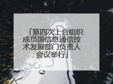 第四次上合组织成员国信息通信技术发展部门负责人会议举行