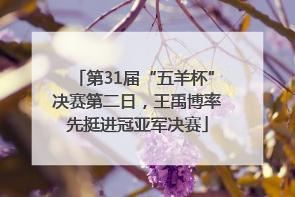 第31届“五羊杯”决赛第二日，王禹博率先挺进冠亚军决赛