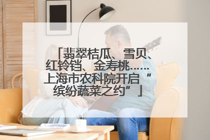 翡翠桔瓜、雪贝、红铃铛、金寿桃……上海市农科院开启“缤纷蔬菜之约”