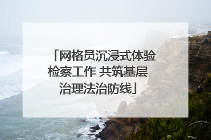 网格员沉浸式体验检察工作 共筑基层治理法治防线