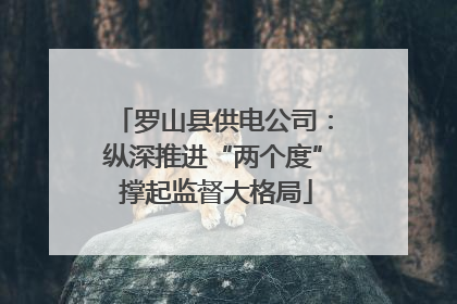 罗山县供电公司：纵深推进“两个度” 撑起监督大格局