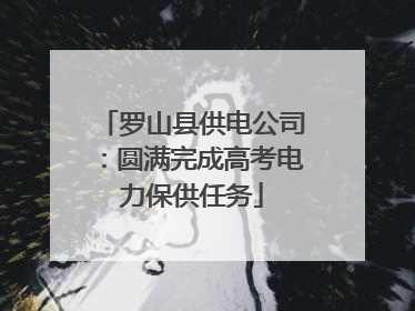 罗山县供电公司：圆满完成高考电力保供任务