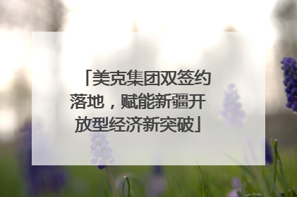 美克集团双签约落地，赋能新疆开放型经济新突破