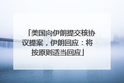 美国向伊朗提交核协议提案，伊朗回应：将按原则适当回应
