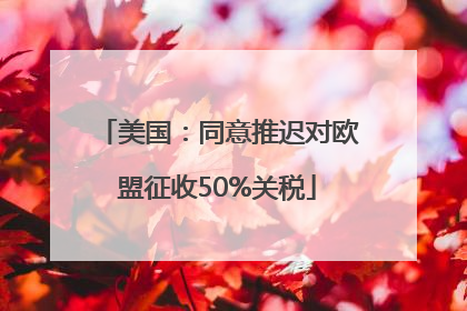 美国：同意推迟对欧盟征收50%关税