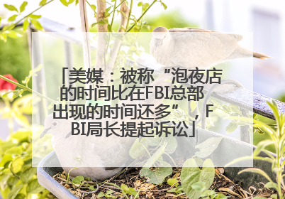 美媒：被称“泡夜店的时间比在FBI总部出现的时间还多”，FBI局长提起诉讼