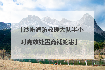 纱帽消防救援大队半小时高效处置商铺蛇患