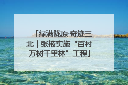 绿满陇原·奇迹三北｜张掖实施“百村万树千里林”工程