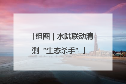 组图｜水陆联动清剿“生态杀手”