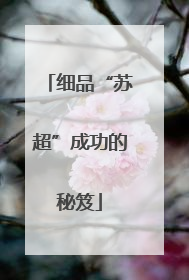 细品“苏超”成功的秘笈