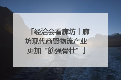 经洽会看廊坊丨廊坊现代商贸物流产业更加“筋强骨壮”