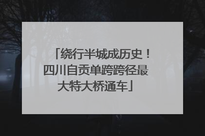 绕行半城成历史！四川自贡单跨跨径最大特大桥通车
