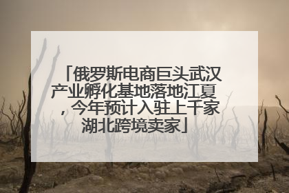 俄罗斯电商巨头武汉产业孵化基地落地江夏，今年预计入驻上千家湖北跨境卖家