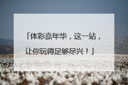 体彩嘉年华，这一站，让你玩得足够尽兴！