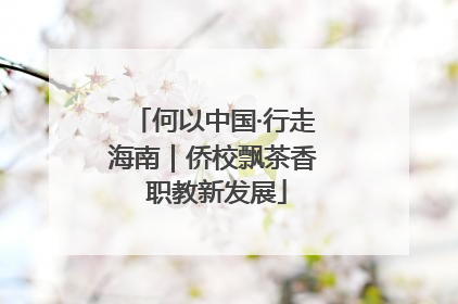 何以中国·行走海南｜侨校飘茶香 职教新发展