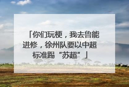 你们玩梗，我去鲁能进修，徐州队要以中超标准踢“苏超”