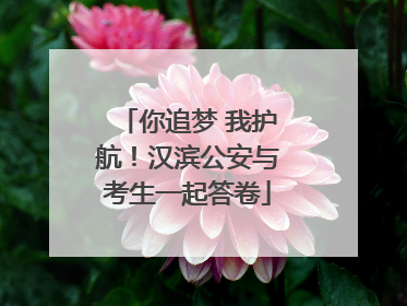 你追梦 我护航！汉滨公安与考生一起答卷