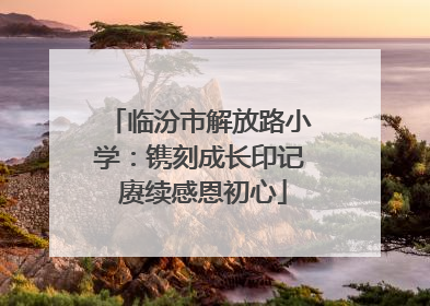 临汾市解放路小学：镌刻成长印记 赓续感恩初心