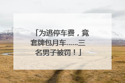 为逃停车费，竟套牌包月车……三名男子被罚！