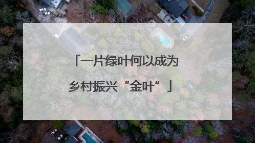 一片绿叶何以成为乡村振兴“金叶”