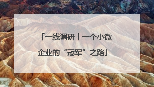 一线调研丨一个小微企业的“冠军”之路