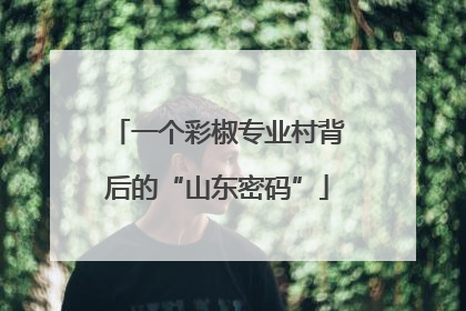 一个彩椒专业村背后的“山东密码”