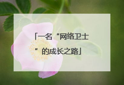 一名“网络卫士”的成长之路
