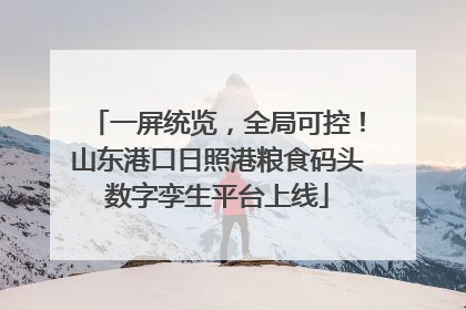 一屏统览，全局可控！山东港口日照港粮食码头数字孪生平台上线