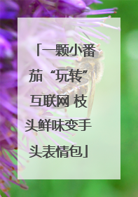 一颗小番茄“玩转”互联网 枝头鲜味变手头表情包