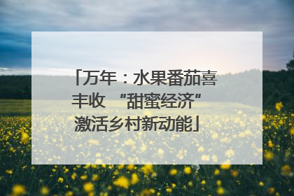 万年：水果番茄喜丰收 “甜蜜经济”激活乡村新动能