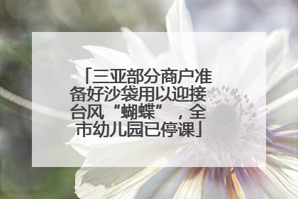 三亚部分商户准备好沙袋用以迎接台风“蝴蝶”，全市幼儿园已停课