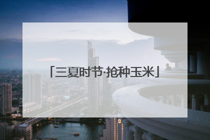 三夏时节·抢种玉米