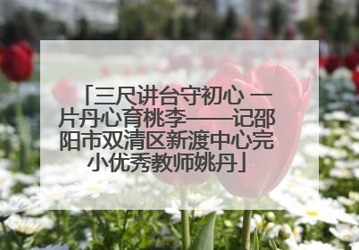 三尺讲台守初心 一片丹心育桃李——记邵阳市双清区新渡中心完小优秀教师姚丹