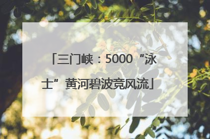 三门峡：5000“泳士”黄河碧波竞风流