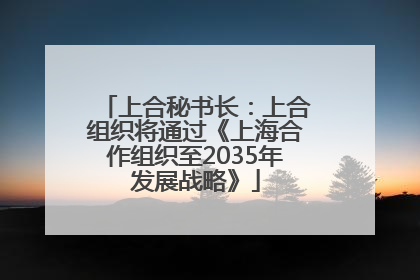 上合秘书长：上合组织将通过《上海合作组织至2035年发展战略》