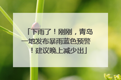 下雨了！刚刚，青岛一地发布暴雨蓝色预警！建议晚上减少出