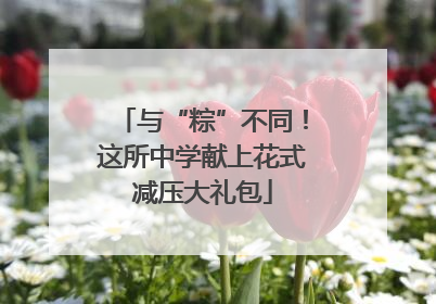 与“粽”不同！这所中学献上花式减压大礼包