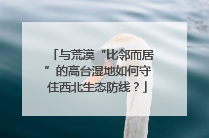 与荒漠“比邻而居”的高台湿地如何守住西北生态防线？