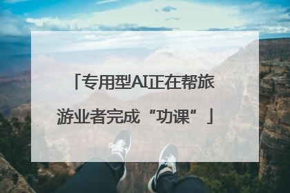 专用型AI正在帮旅游业者完成“功课”