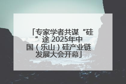专家学者共谋“硅”途 2025年中国（乐山）硅产业链发展大会开幕