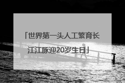 世界第一头人工繁育长江江豚迎20岁生日